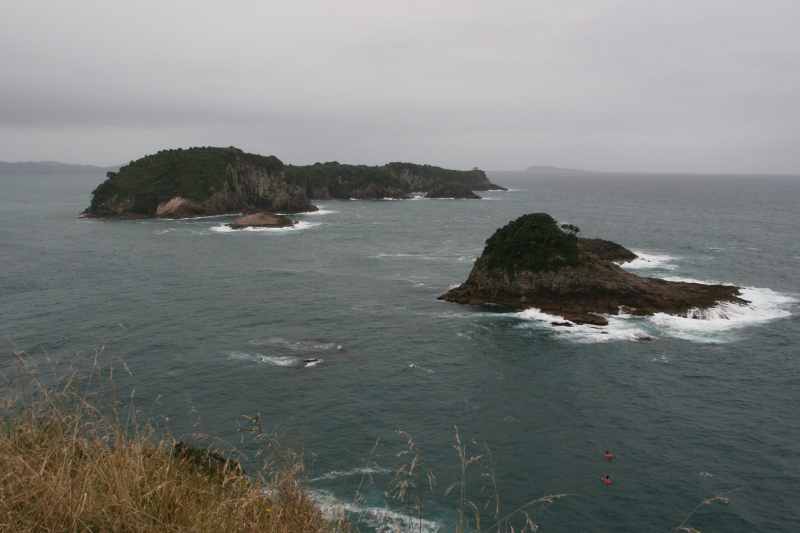 Nieuw-Zeeland 2011 - 0483